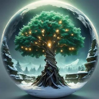 Наблюдения под чинарой 🌳