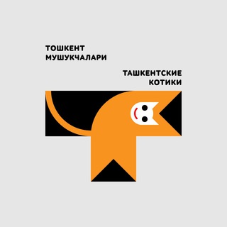 Ташкентские котики
