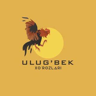 Улуғбек хўрозлари 🐓🐣🐓🐣