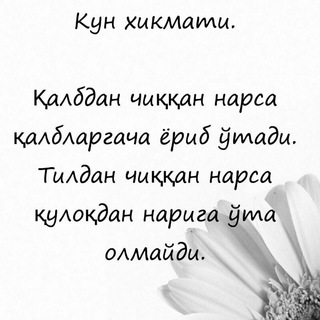 Mulohaza.uz